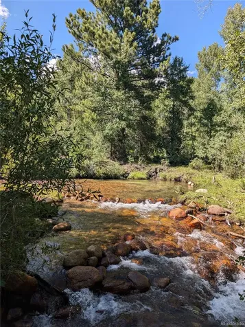 13288 County Road 261p Nathrop CO 81236