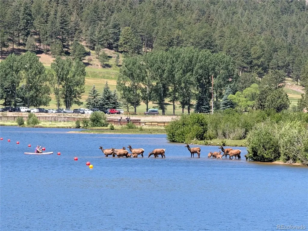 4398 Independence Trail Evergreen CO 80439