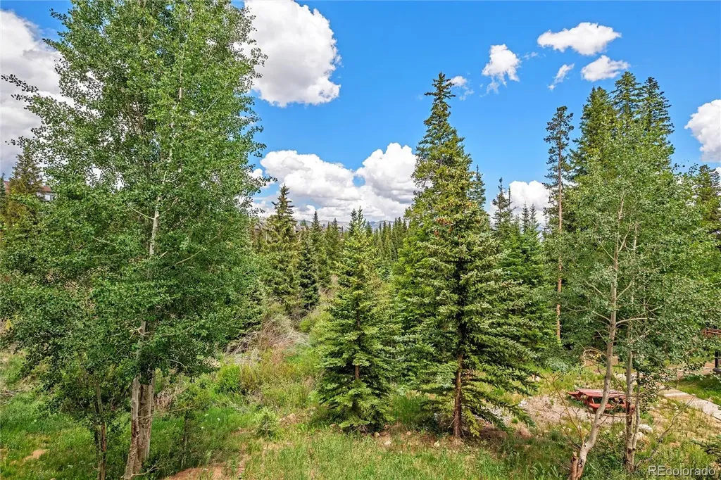10000 Ryan Gulch Road Silverthorne CO 80498