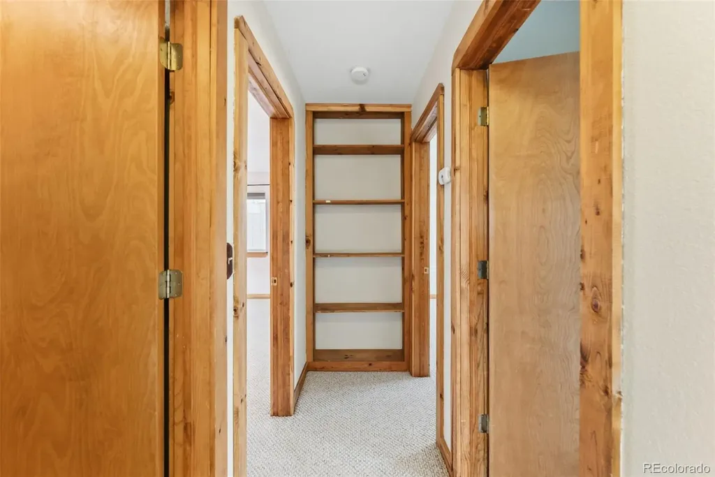 316 3rd Street Fairplay CO 80440