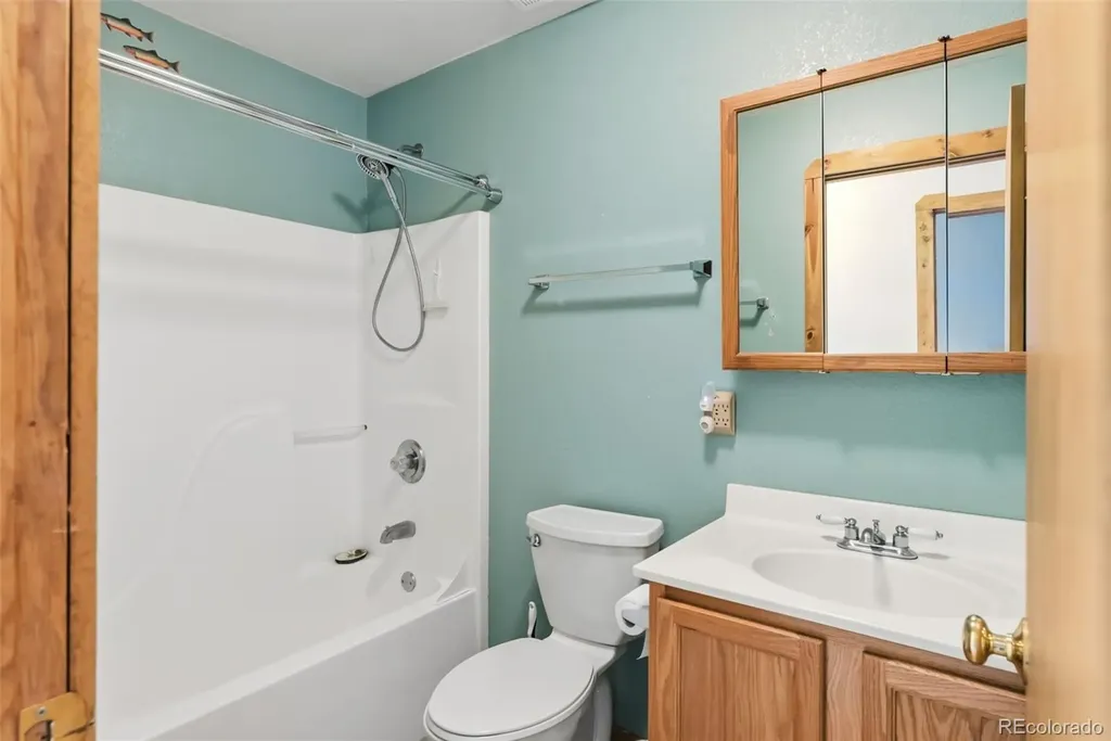 316 3rd Street Fairplay CO 80440