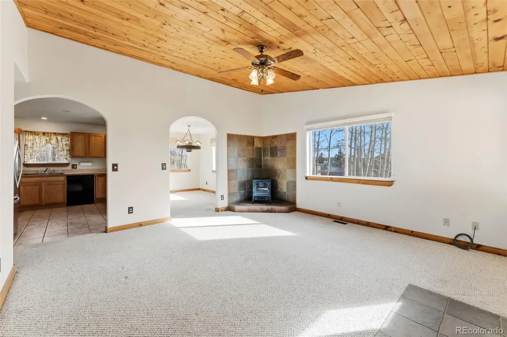 316 3rd Street Fairplay CO 80440