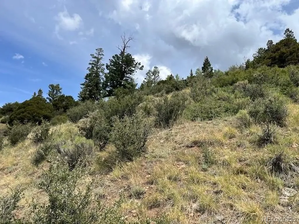 Lot 6076 Starkweather Road San Luis CO 81152
