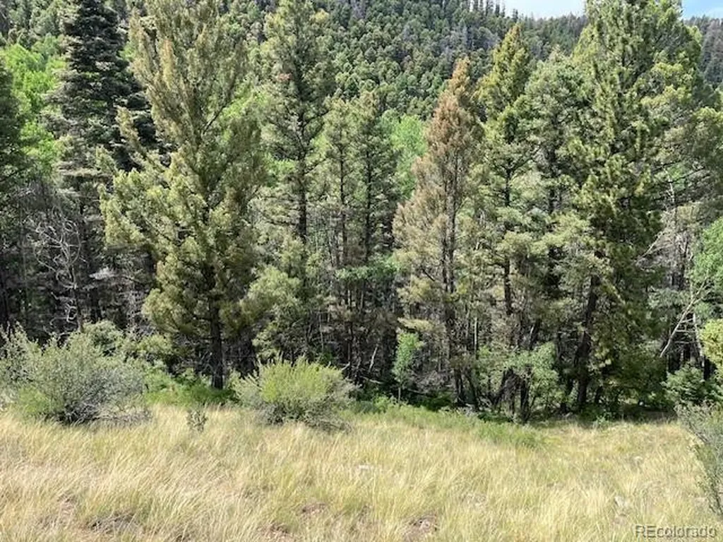 Lot 6076 Starkweather Road San Luis CO 81152