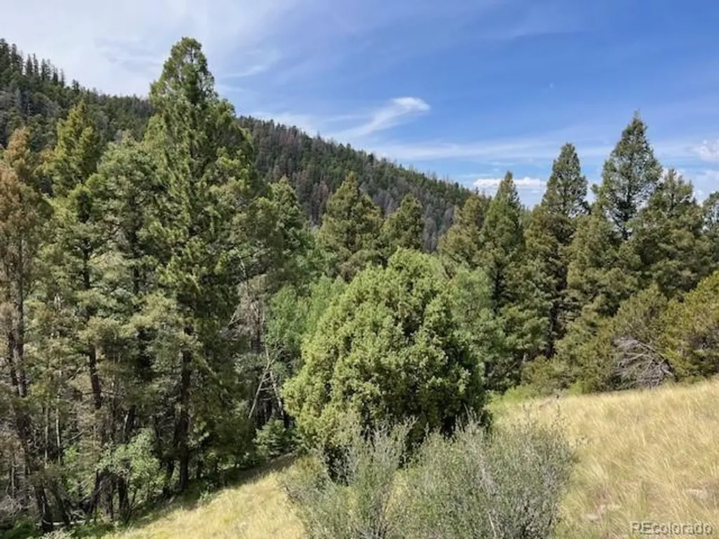 Lot 6076 Starkweather Road San Luis CO 81152