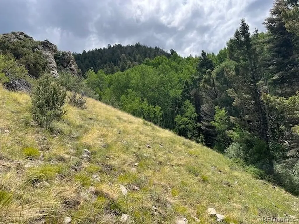 Lot 6076 Starkweather Road San Luis CO 81152