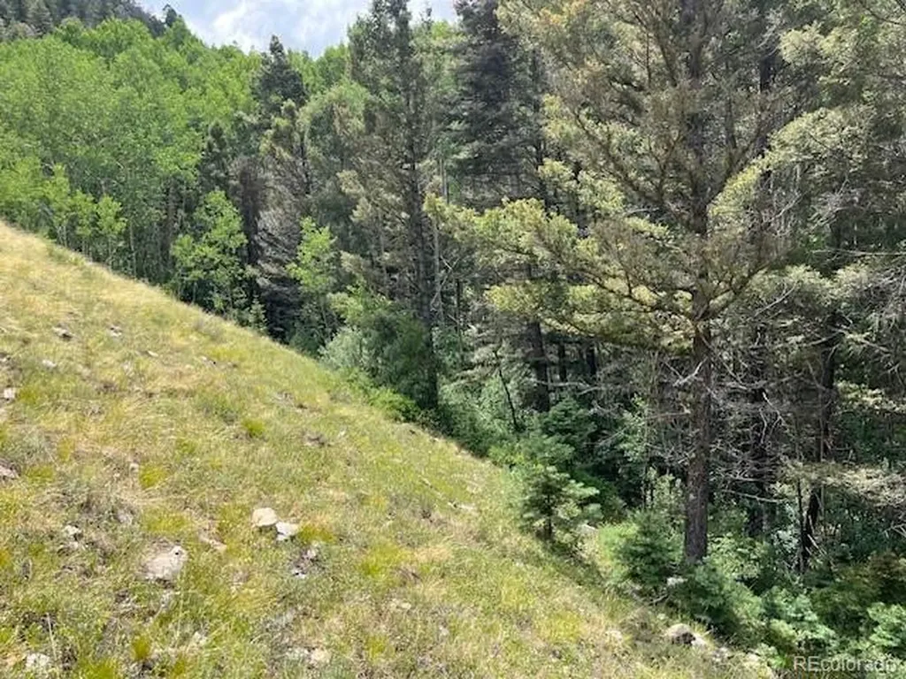 Lot 6076 Starkweather Road San Luis CO 81152