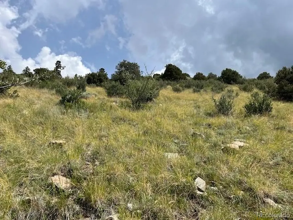 Lot 6076 Starkweather Road San Luis CO 81152