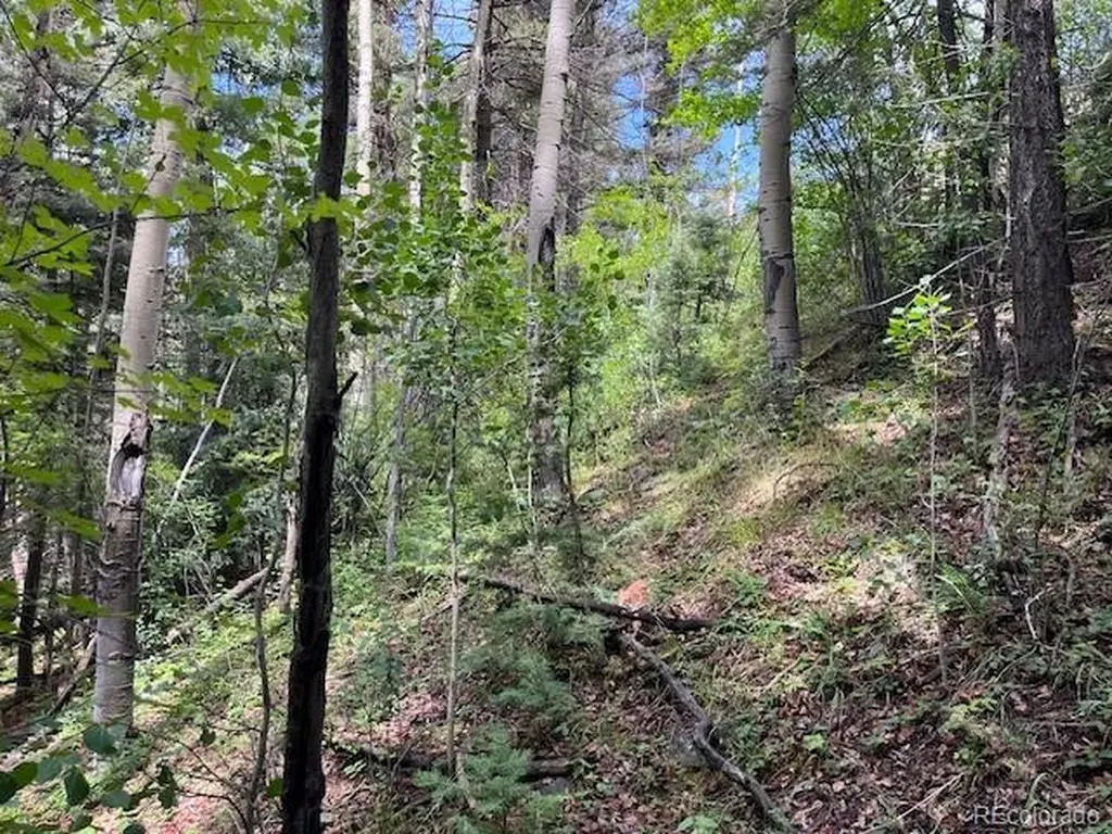 Lot 6076 Starkweather Road San Luis CO 81152