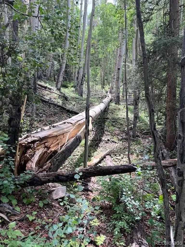 Lot 6076 Starkweather Road San Luis CO 81152