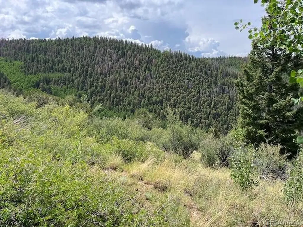 Lot 6076 Starkweather Road San Luis CO 81152