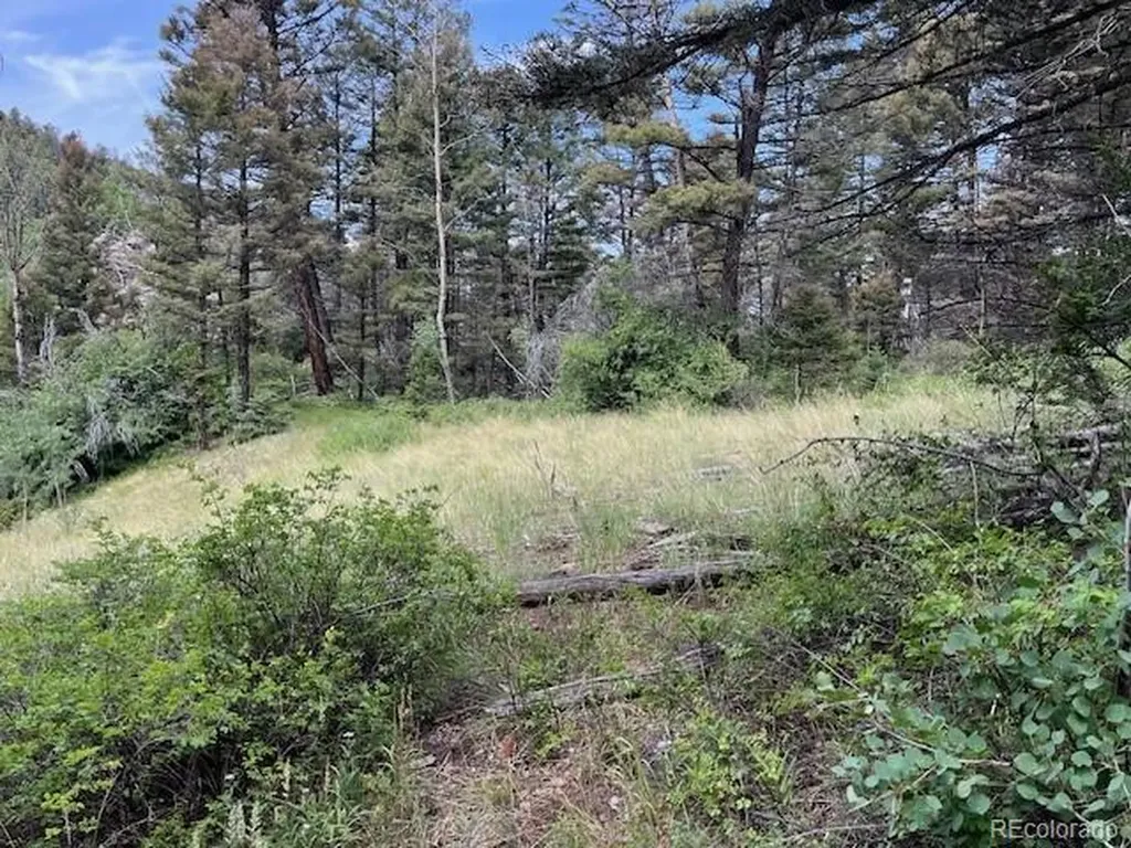 Lot 6076 Starkweather Road San Luis CO 81152