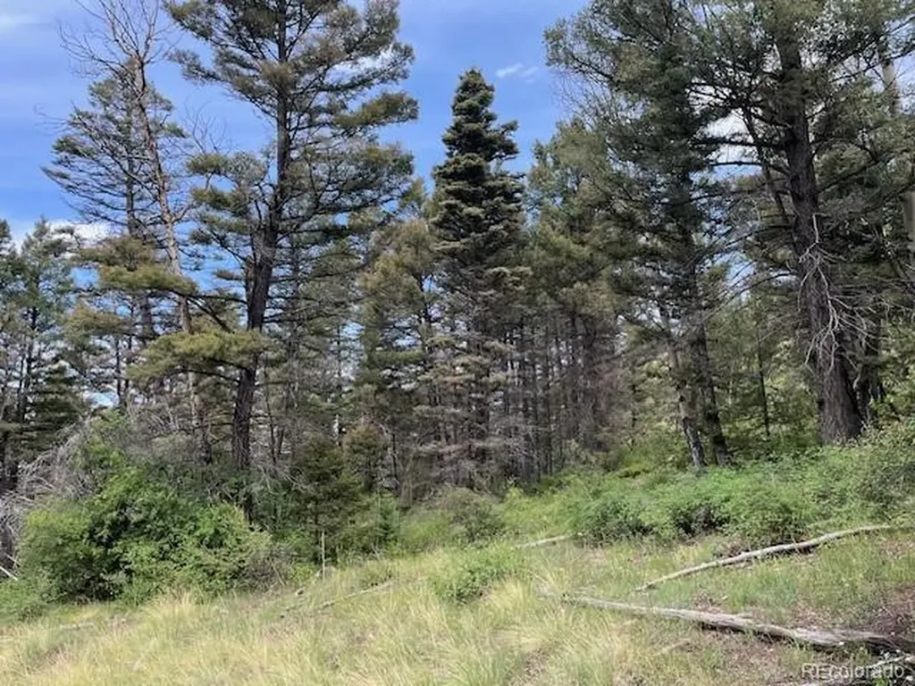 Lot 6076 Starkweather Road San Luis CO 81152