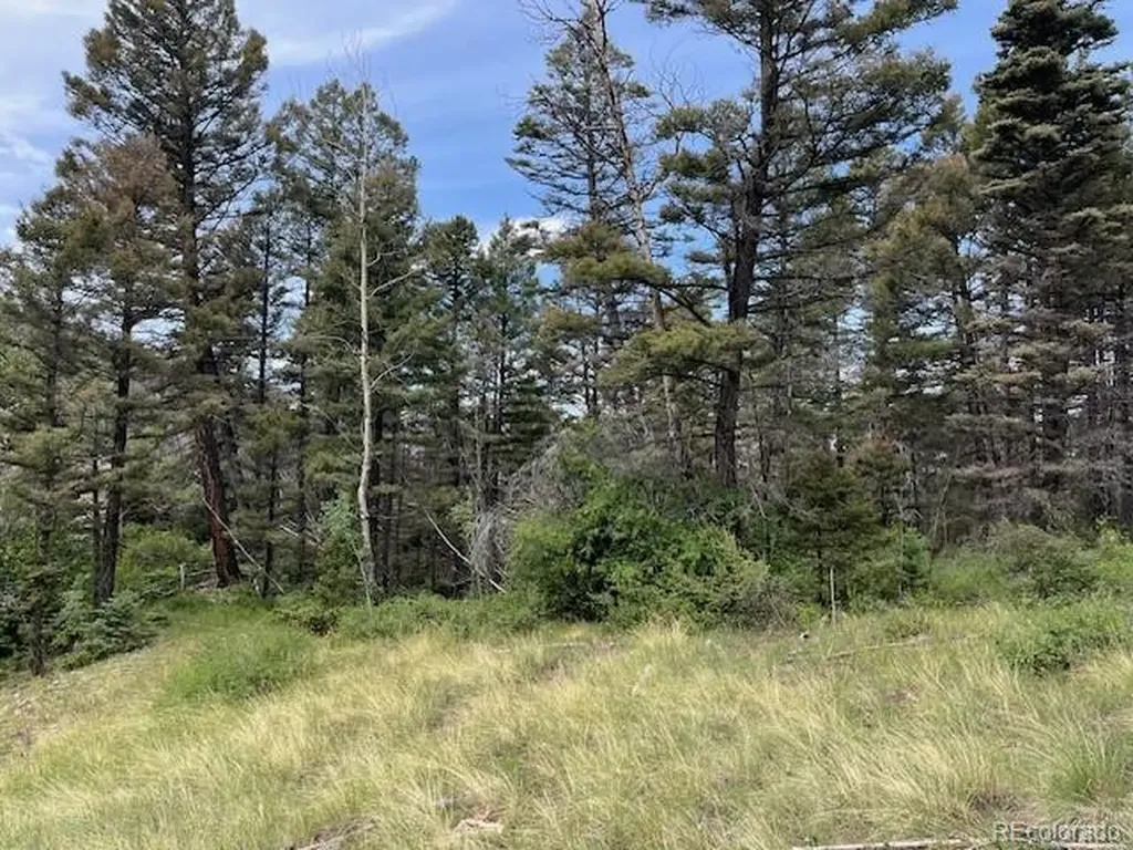 Lot 6076 Starkweather Road San Luis CO 81152