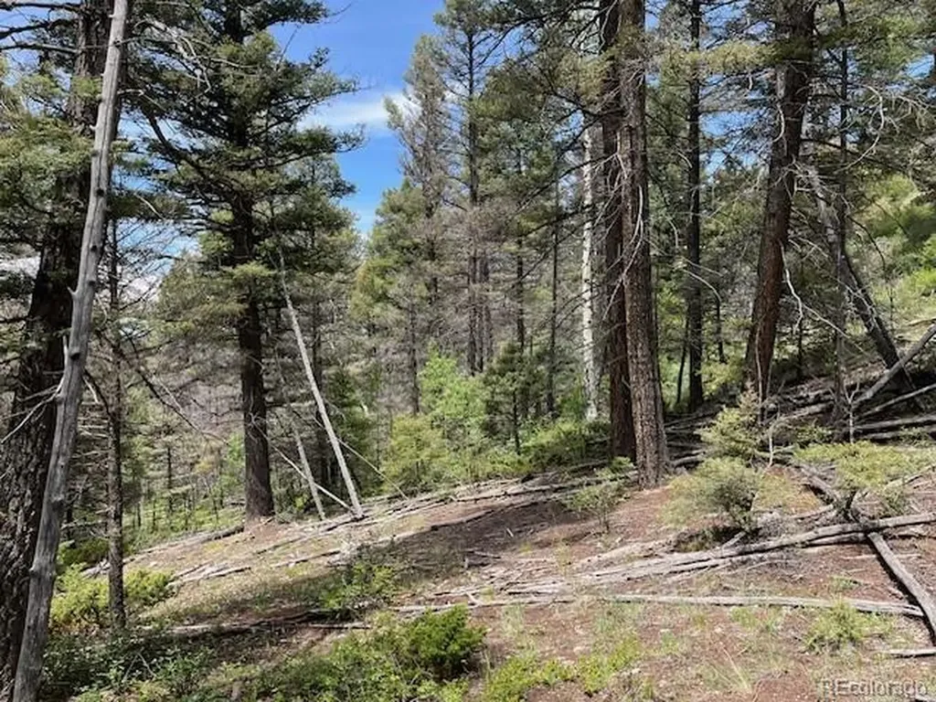 Lot 6076 Starkweather Road San Luis CO 81152