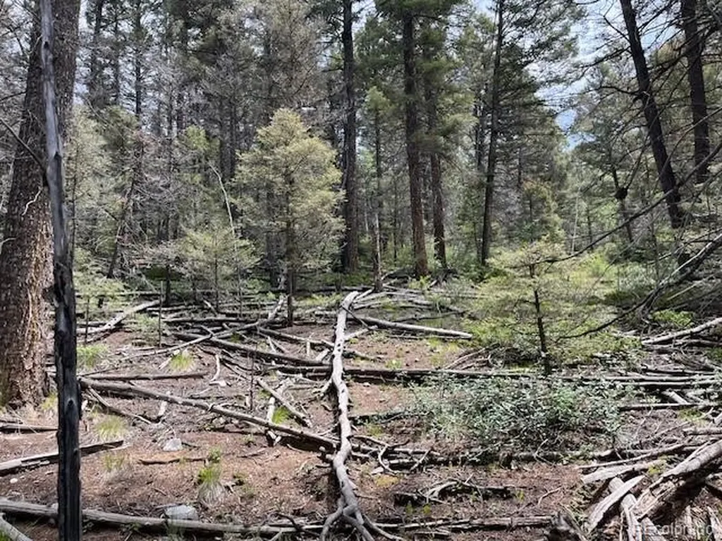 Lot 6076 Starkweather Road San Luis CO 81152