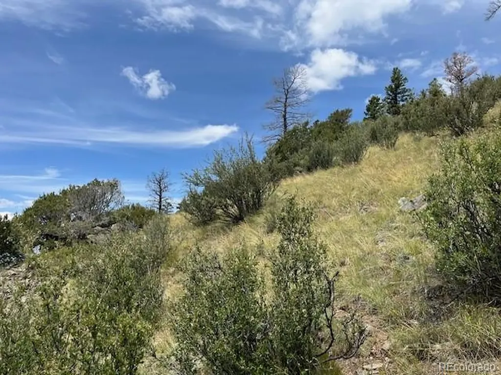 Lot 6076 Starkweather Road San Luis CO 81152