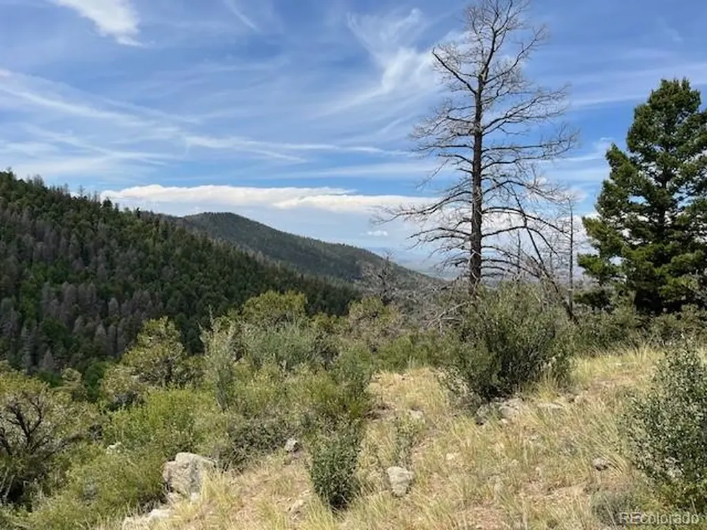 Lot 6076 Starkweather Road San Luis CO 81152