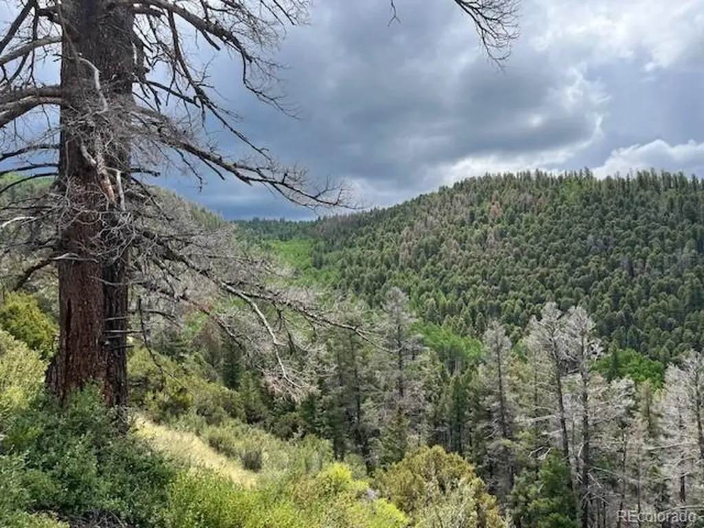 Lot 6076 Starkweather Road San Luis CO 81152