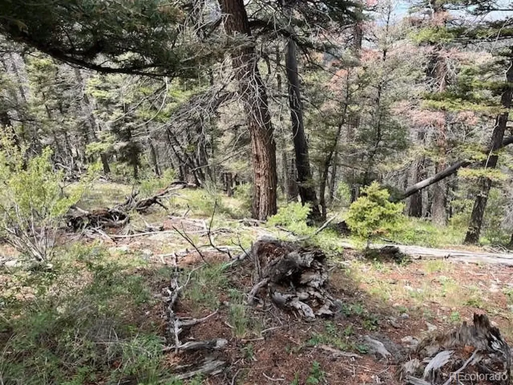 Lot 6076 Starkweather Road San Luis CO 81152