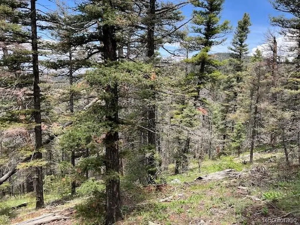 Lot 6076 Starkweather Road San Luis CO 81152
