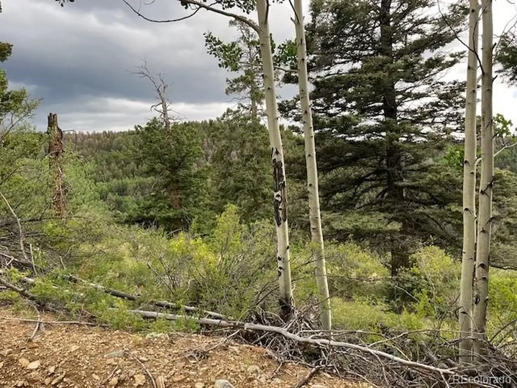 Lot 6076 Starkweather Road San Luis CO 81152