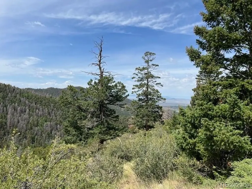 Lot 6076 Starkweather Road San Luis CO 81152