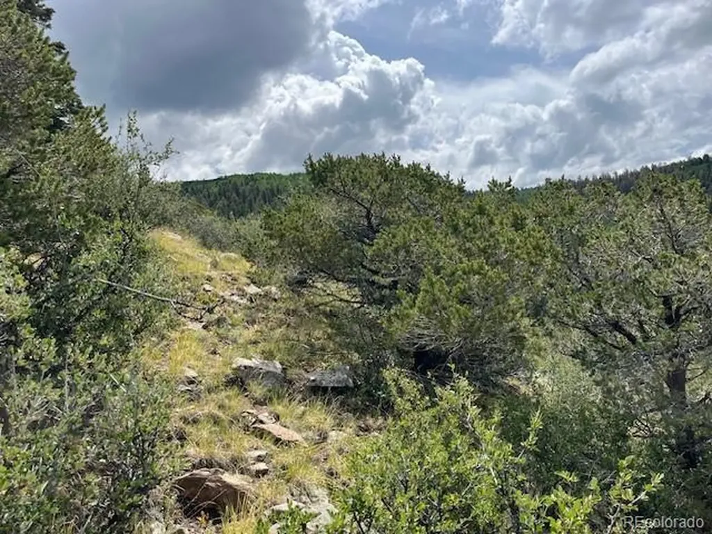 Lot 6076 Starkweather Road San Luis CO 81152