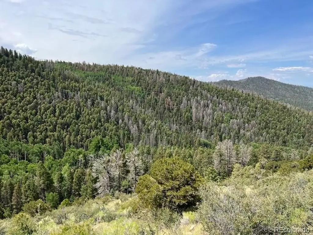 Lot 6076 Starkweather Road San Luis CO 81152