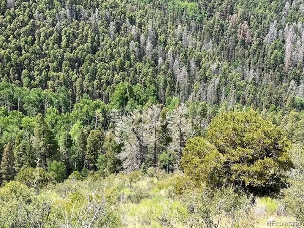 Lot 6076 Starkweather Road San Luis CO 81152
