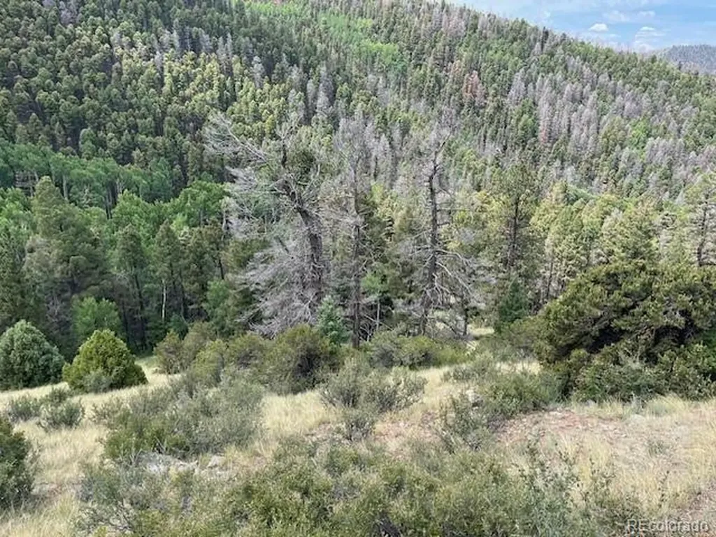 Lot 6076 Starkweather Road San Luis CO 81152