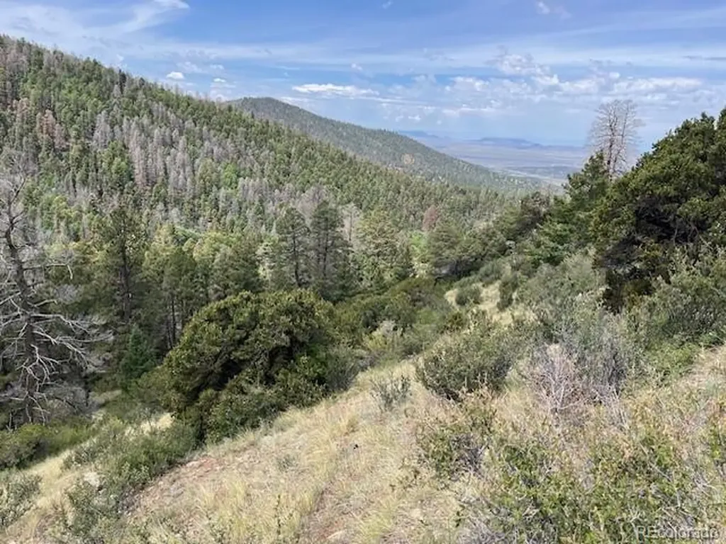 Lot 6076 Starkweather Road San Luis CO 81152