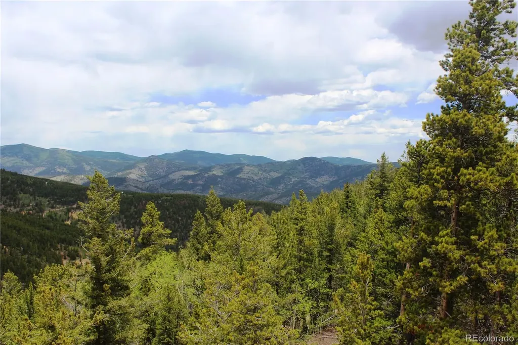 19129 Eliza Idaho Springs CO 80461