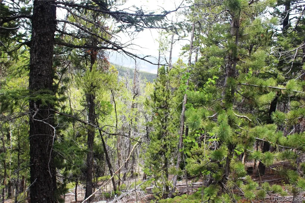19129 Eliza Idaho Springs CO 80461