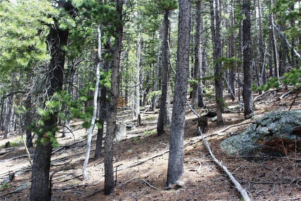 19129 Eliza Idaho Springs CO 80461