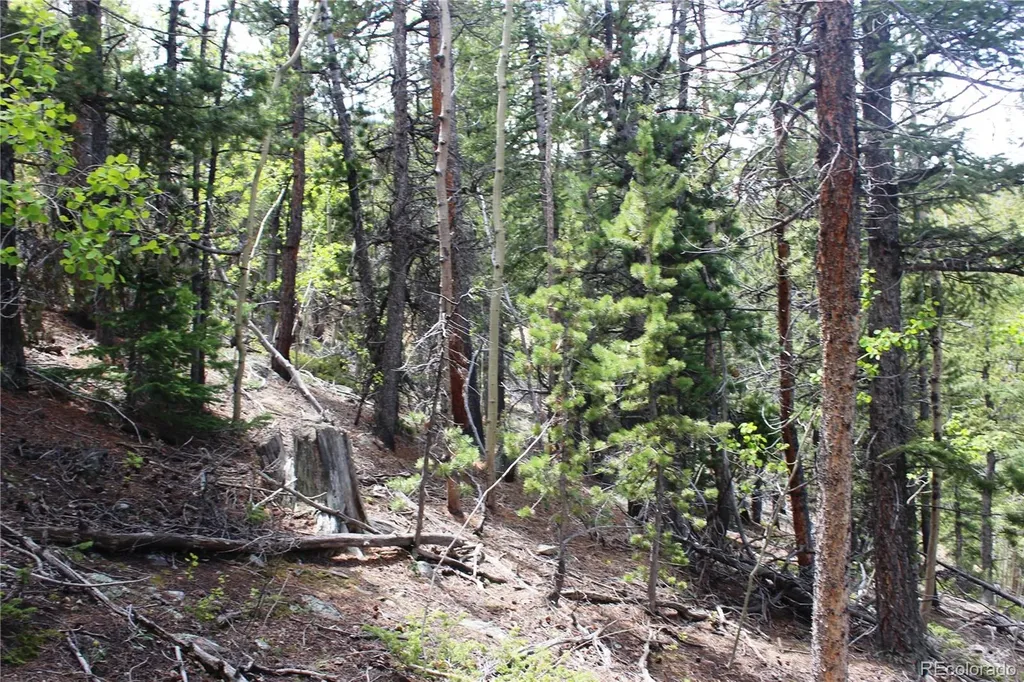 19129 Eliza Idaho Springs CO 80461