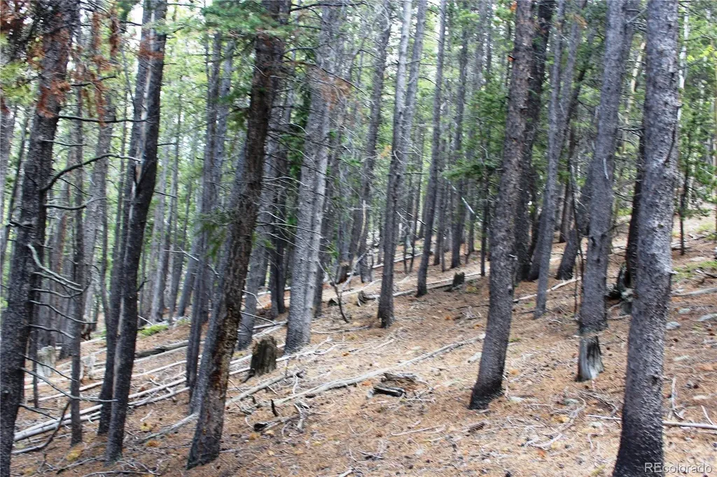 19129 Eliza Idaho Springs CO 80461