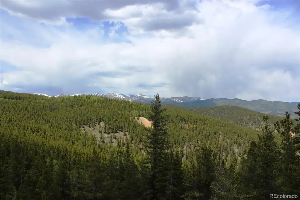 19129 Eliza Idaho Springs CO 80461