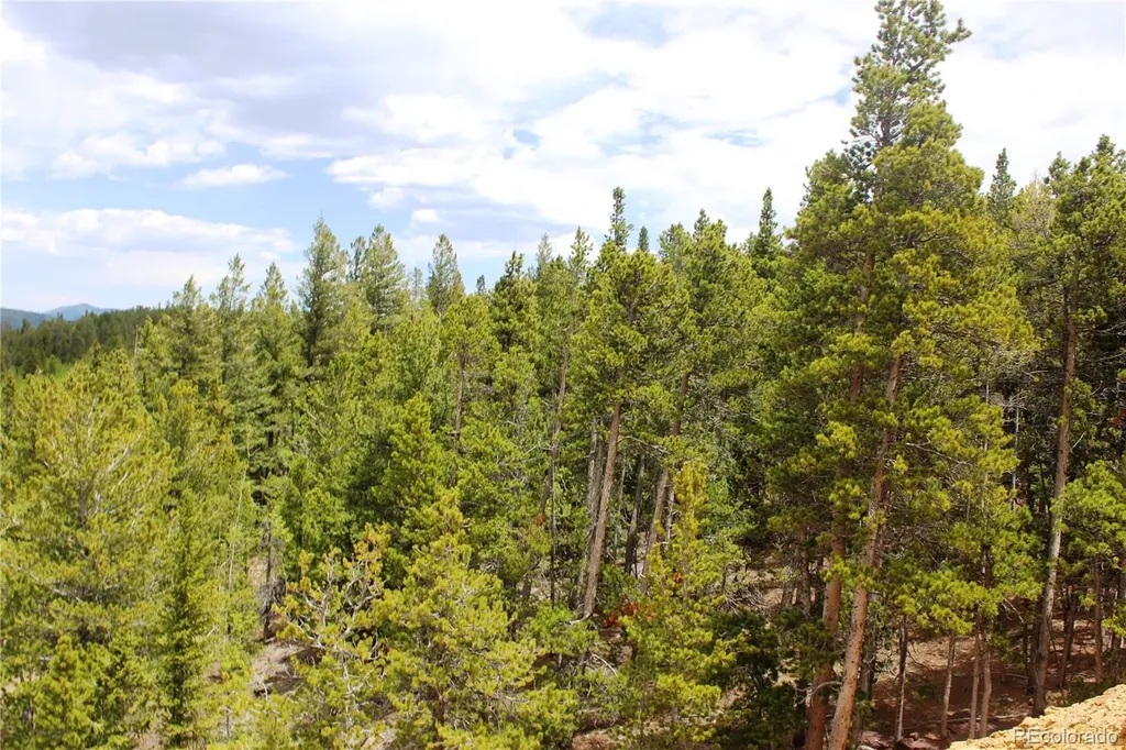 19129 Eliza Idaho Springs CO 80461