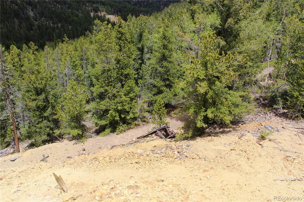 19129 Eliza Idaho Springs CO 80461