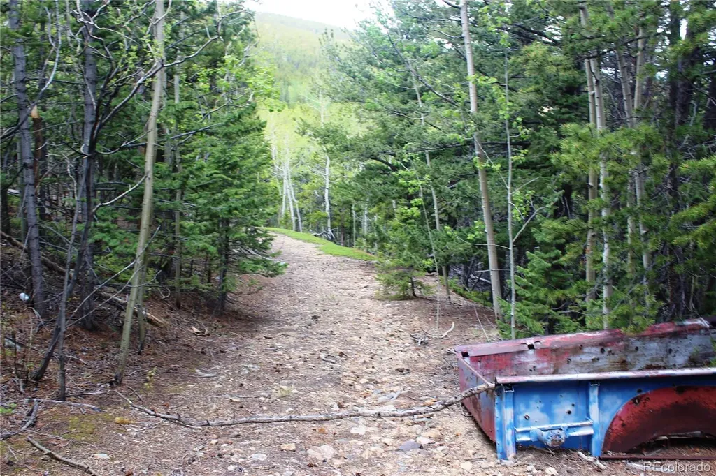 19129 Eliza Idaho Springs CO 80461