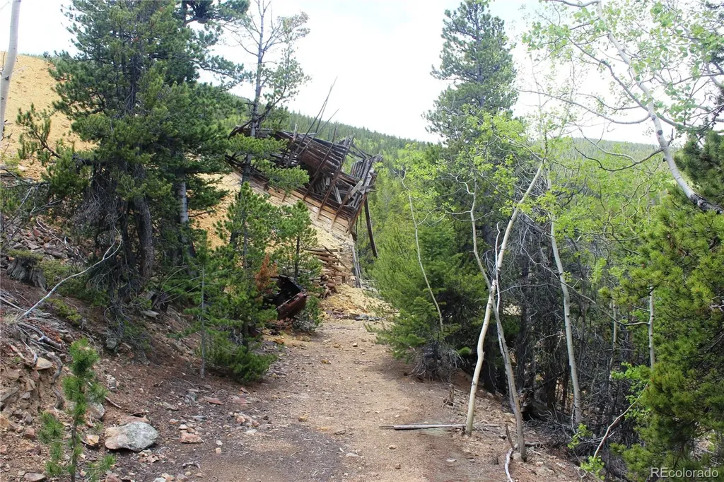 19129 Eliza Idaho Springs CO 80461