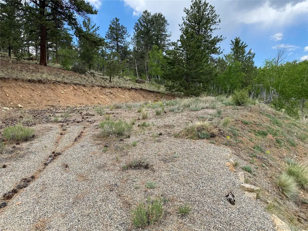 2071 Al Gulch Road Jefferson CO 80456