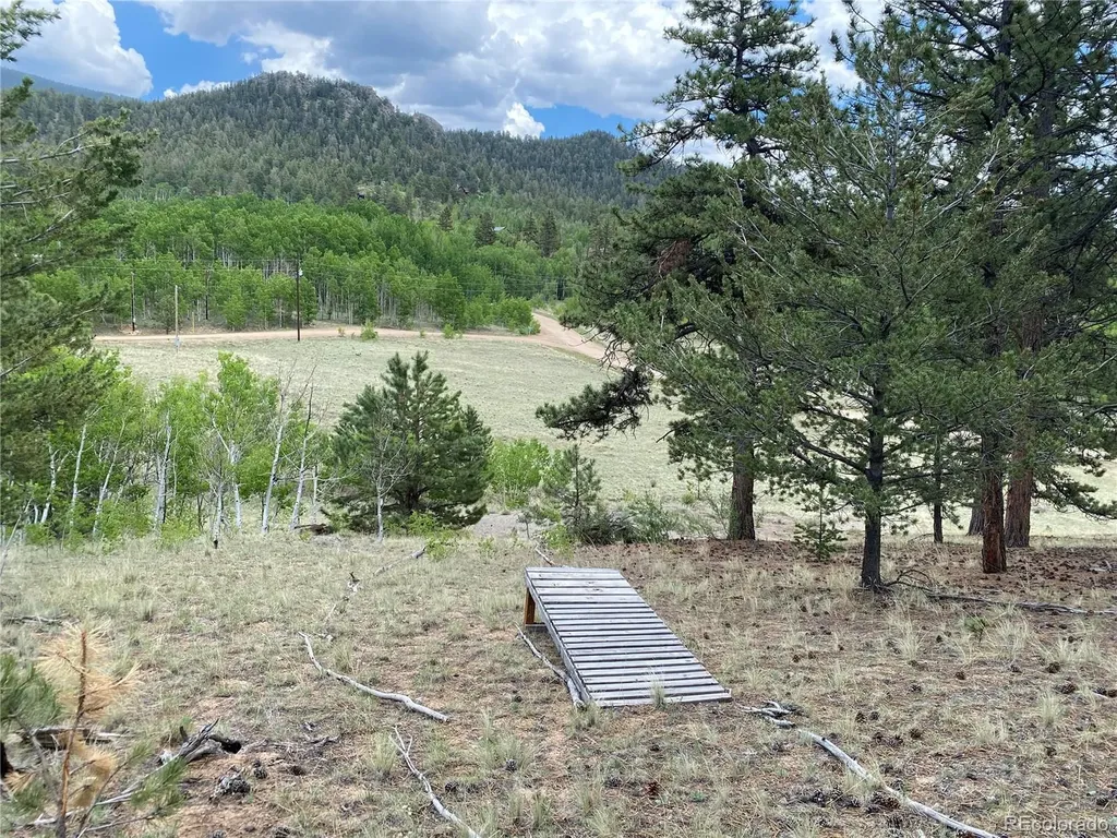 2071 Al Gulch Road Jefferson CO 80456