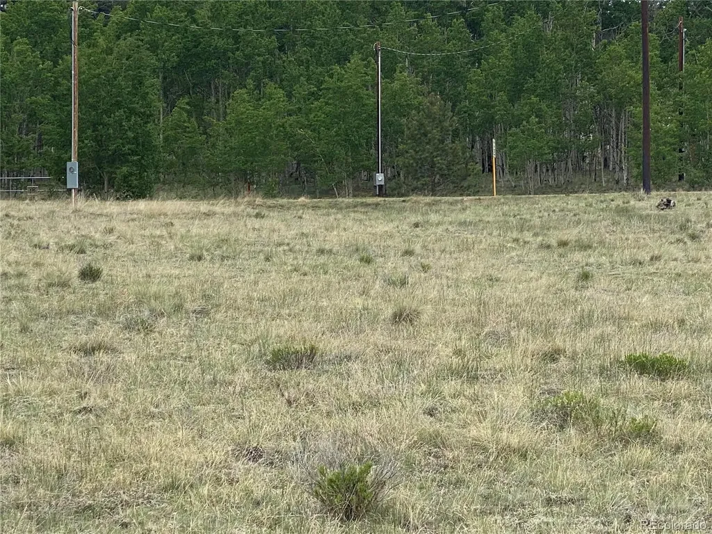 2071 Al Gulch Road Jefferson CO 80456