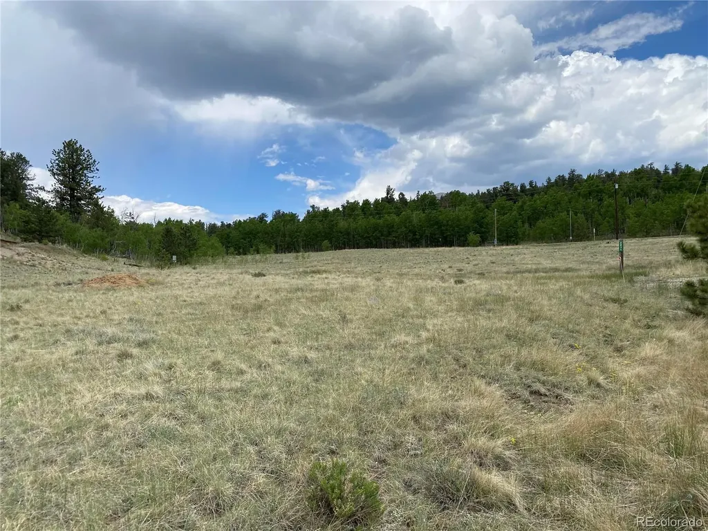 2071 Al Gulch Road Jefferson CO 80456
