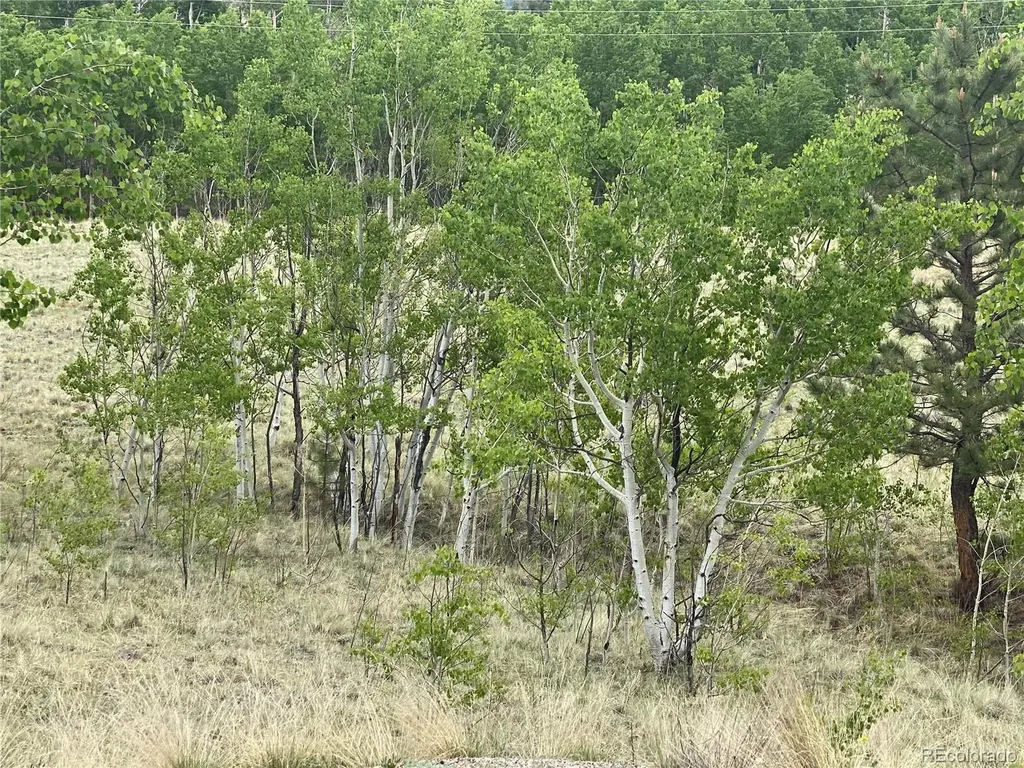 2071 Al Gulch Road Jefferson CO 80456