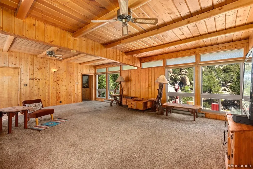 30320 County Road 371 Buena Vista CO 81211
