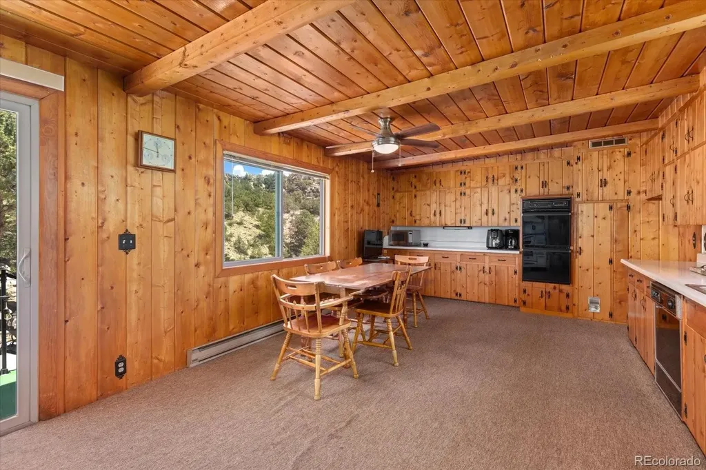 30320 County Road 371 Buena Vista CO 81211