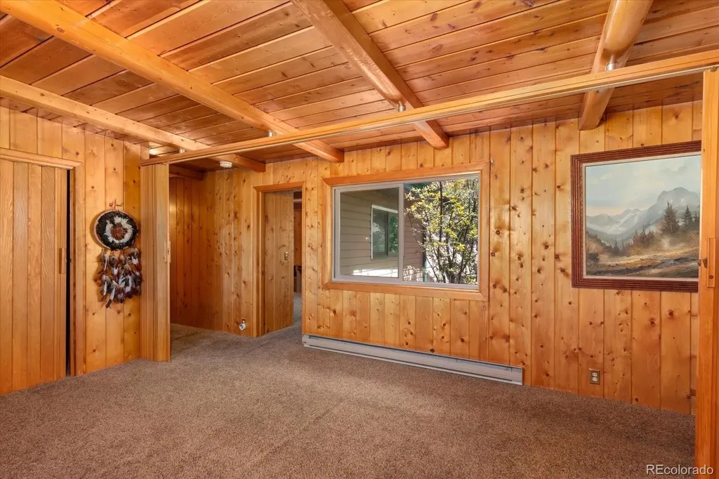 30320 County Road 371 Buena Vista CO 81211